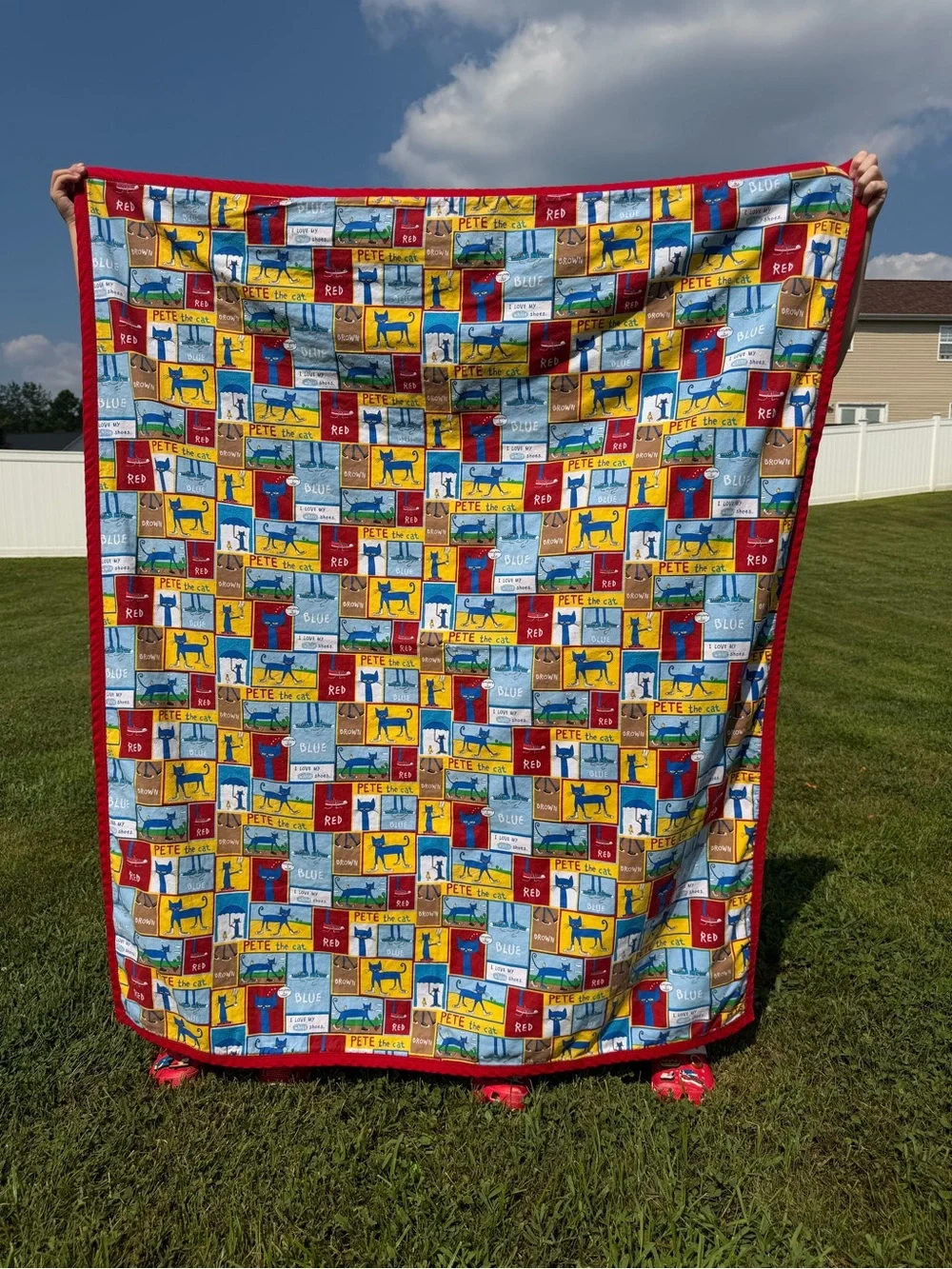 Pete The Cat Blanket
